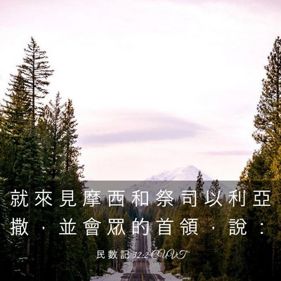 Picture 03 - 民 數 記 32:2 CUVT - 就 來 見 摩 西 和 祭 司 以 利 亞 撒 - Bible Verse Picture