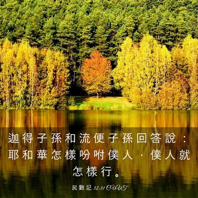 Picture 03 - 民 數 記 32:31 CUVT - 迦 得 子 孫 和 流 便 子 孫 回 答 說 - Bible Verse Picture