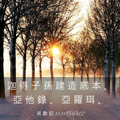 Picture 03 - 民 數 記 32:34 CUVT - 迦 得 子 孫 建 造 底 本 、 亞 他 錄 - Bible Verse Picture