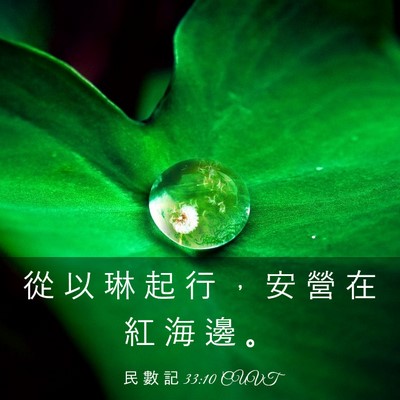 Picture 03 - 民 數 記 33:10 CUVT - 從 以 琳 起 行 ， 安 營 在 紅 海 邊 - Bible Verse Picture