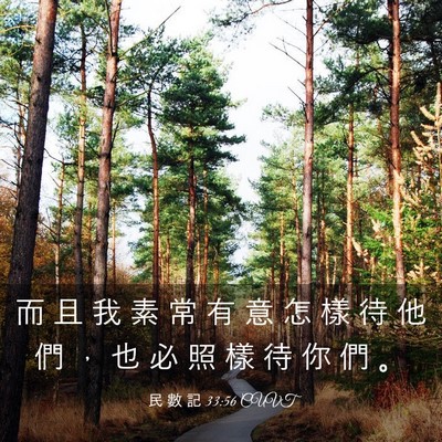 Picture 03 - 民 數 記 33:56 CUVT - 而 且 我 素 常 有 意 怎 樣 待 他 們 - Bible Verse Picture