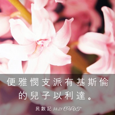 Picture 03 - 民 數 記 34:21 CUVT - 便 雅 憫 支 派 有 基 斯 倫 的 兒 子 - Bible Verse Picture