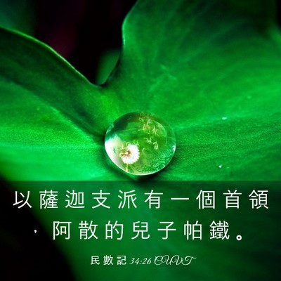 Picture 03 - 民 數 記 34:26 CUVT - 以 薩 迦 支 派 有 一 個 首 領 ， 阿 - Bible Verse Picture