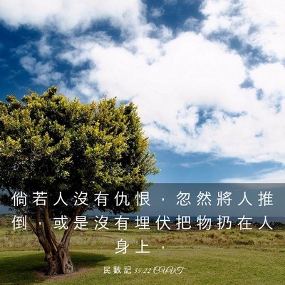 Picture 03 - 民 數 記 35:22 CUVT - 倘 若 人 沒 有 仇 恨 ， 忽 然 將 人 - Bible Verse Picture
