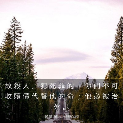 Picture 03 - 民 數 記 35:31 CUVT - 故 殺 人 、 犯 死 罪 的 ， 你 們 不 - Bible Verse Picture