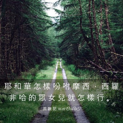 Picture 03 - 民 數 記 36:10 CUVT - 耶 和 華 怎 樣 吩 咐 摩 西 ， 西 羅 - Bible Verse Picture