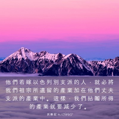 Picture 03 - 民 數 記 36:3 CUVT - 他 們 若 嫁 以 色 列 別 支 派 的 人 - Bible Verse Picture