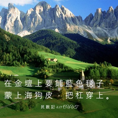 Picture 03 - 民 數 記 4:11 CUVT - 在 金 壇 上 要 鋪 藍 色 毯 子 ， 蒙 - Bible Verse Picture