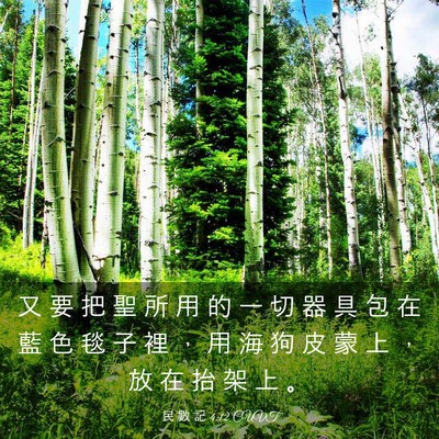 Picture 03 - 民 數 記 4:12 CUVT - 又 要 把 聖 所 用 的 一 切 器 具 包 - Bible Verse Picture