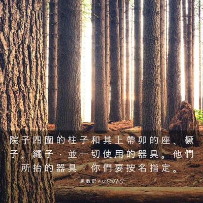 Picture 03 - 民 數 記 4:32 CUVT - 院 子 四 圍 的 柱 子 和 其 上 帶 卯 - Bible Verse Picture