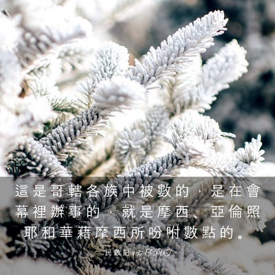 Picture 03 - 民 數 記 4:37 CUVT - 這 是 哥 轄 各 族 中 被 數 的 ， 是 - Bible Verse Picture