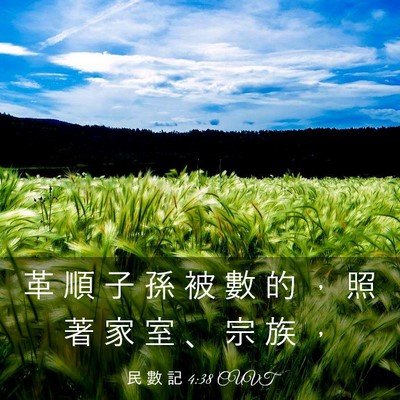 Picture 03 - 民 數 記 4:38 CUVT - 革 順 子 孫 被 數 的 ， 照 著 家 室 - Bible Verse Picture