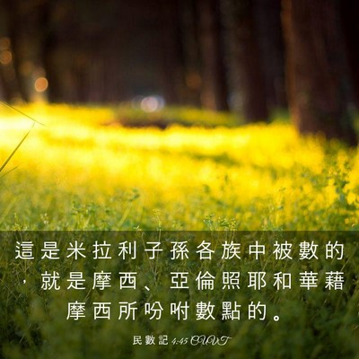 Picture 03 - 民 數 記 4:45 CUVT - 這 是 米 拉 利 子 孫 各 族 中 被 數 - Bible Verse Picture
