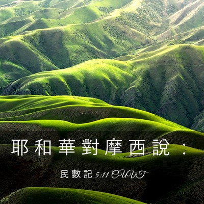 Picture 03 - 民 數 記 5:11 CUVT - 耶 和 華 對 摩 西 說 - Bible Verse Picture