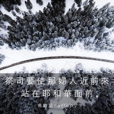 Picture 03 - 民 數 記 5:16 CUVT - 祭 司 要 使 那 婦 人 近 前 來 ， 站 - Bible Verse Picture