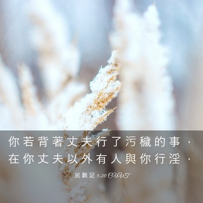 Picture 03 - 民 數 記 5:20 CUVT - 你 若 背 著 丈 夫 行 了 污 穢 的 事 - Bible Verse Picture