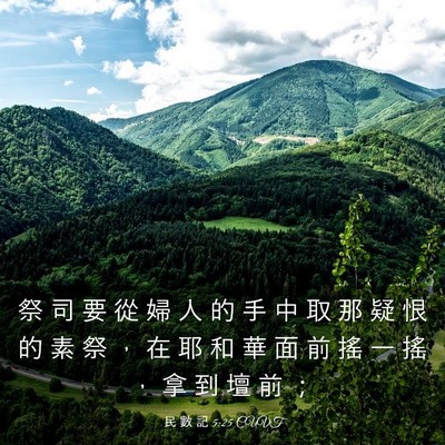 Picture 03 - 民 數 記 5:25 CUVT - 祭 司 要 從 婦 人 的 手 中 取 那 疑 - Bible Verse Picture