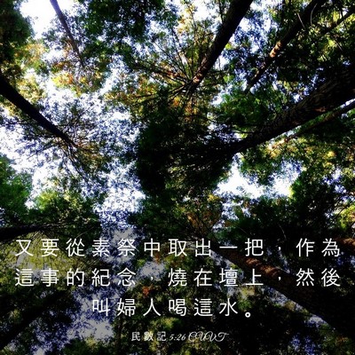 Picture 03 - 民 數 記 5:26 CUVT - 又 要 從 素 祭 中 取 出 一 把 ， 作 - Bible Verse Picture
