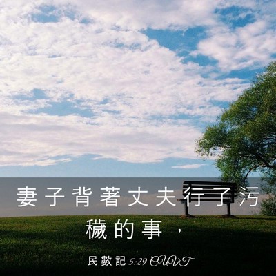 Picture 03 - 民 數 記 5:29 CUVT - 妻 子 背 著 丈 夫 行 了 污 穢 的 事 - Bible Verse Picture