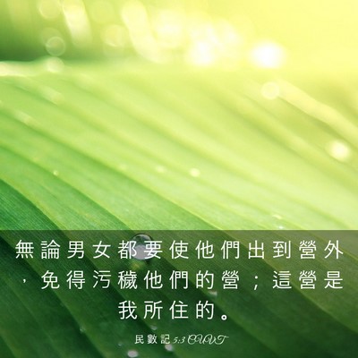 Picture 03 - 民 數 記 5:3 CUVT - 無 論 男 女 都 要 使 他 們 出 到 營 - Bible Verse Picture