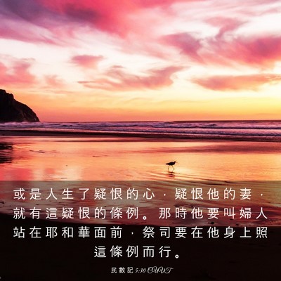 Picture 03 - 民 數 記 5:30 CUVT - 或 是 人 生 了 疑 恨 的 心 ， 疑 恨 - Bible Verse Picture
