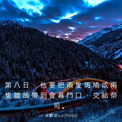 Picture 03 - 民 數 記 6:10 CUVT - 第 八 日 ， 他 要 把 兩 隻 斑 鳩 或 - Bible Verse Picture