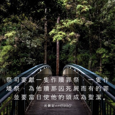 Picture 03 - 民 數 記 6:11 CUVT - 祭 司 要 獻 一 隻 作 贖 罪 祭 ， 一 - Bible Verse Picture