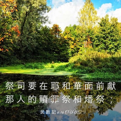 Picture 03 - 民 數 記 6:16 CUVT - 祭 司 要 在 耶 和 華 面 前 獻 那 人 - Bible Verse Picture