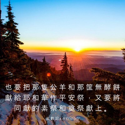 Picture 03 - 民 數 記 6:17 CUVT - 也 要 把 那 隻 公 羊 和 那 筐 無 酵 - Bible Verse Picture