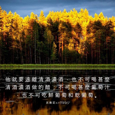 Picture 03 - 民 數 記 6:3 CUVT - 他 就 要 遠 離 清 酒 濃 酒 ， 也 不 - Bible Verse Picture