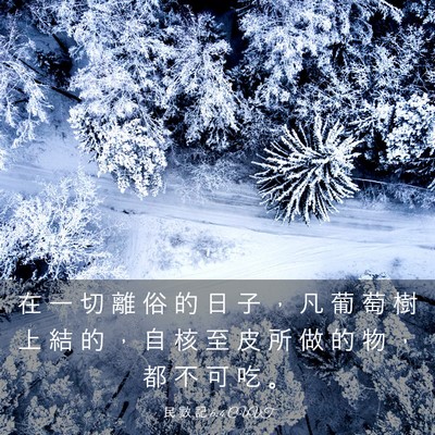 Picture 03 - 民 數 記 6:4 CUVT - 在 一 切 離 俗 的 日 子 ， 凡 葡 萄 - Bible Verse Picture