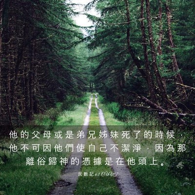 Picture 03 - 民 數 記 6:7 CUVT - 他 的 父 母 或 是 弟 兄 姊 妹 死 了 - Bible Verse Picture