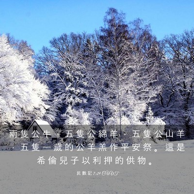 Picture 03 - 民 數 記 7:29 CUVT - 兩 隻 公 牛 ， 五 隻 公 綿 羊 ， 五 - Bible Verse Picture