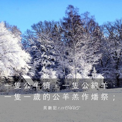 Picture 03 - 民 數 記 7:33 CUVT - 一 隻 公 牛 犢 ， 一 隻 公 綿 羊 ， - Bible Verse Picture