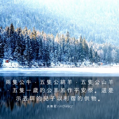 Picture 03 - 民 數 記 7:35 CUVT - 兩 隻 公 牛 ， 五 隻 公 綿 羊 ， 五 - Bible Verse Picture