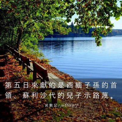 Picture 03 - 民 數 記 7:36 CUVT - 第 五 日 來 獻 的 是 西 緬 子 孫 的 - Bible Verse Picture