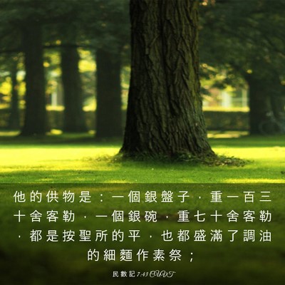 Picture 03 - 民 數 記 7:43 CUVT - 他 的 供 物 是 ： 一 個 銀 盤 子 ， - Bible Verse Picture