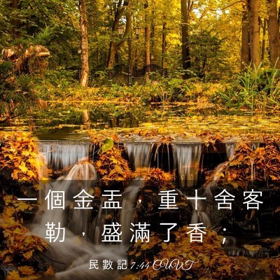 Picture 03 - 民 數 記 7:44 CUVT - 一 個 金 盂 ， 重 十 舍 客 勒 ， 盛 - Bible Verse Picture