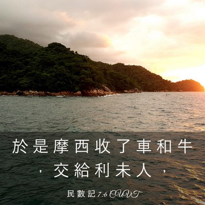 Picture 03 - 民 數 記 7:6 CUVT - 於 是 摩 西 收 了 車 和 牛 ， 交 給 - Bible Verse Picture