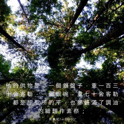 Picture 03 - 民 數 記 7:61 CUVT - 他 的 供 物 是 ： 一 個 銀 盤 子 ， - Bible Verse Picture