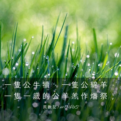 Picture 03 - 民 數 記 7:69 CUVT - 一 隻 公 牛 犢 ， 一 隻 公 綿 羊 ， - Bible Verse Picture