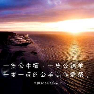 Picture 03 - 民 數 記 7:81 CUVT - 一 隻 公 牛 犢 ， 一 隻 公 綿 羊 ， - Bible Verse Picture