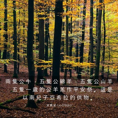Picture 03 - 民 數 記 7:83 CUVT - 兩 隻 公 牛 ， 五 隻 公 綿 羊 ， 五 - Bible Verse Picture