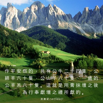 Picture 03 - 民 數 記 7:88 CUVT - 作 平 安 祭 的 ， 共 有 公 牛 二 十 - Bible Verse Picture