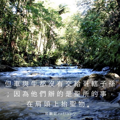 Picture 03 - 民 數 記 7:9 CUVT - 但 車 與 牛 都 沒 有 交 給 哥 轄 子 - Bible Verse Picture