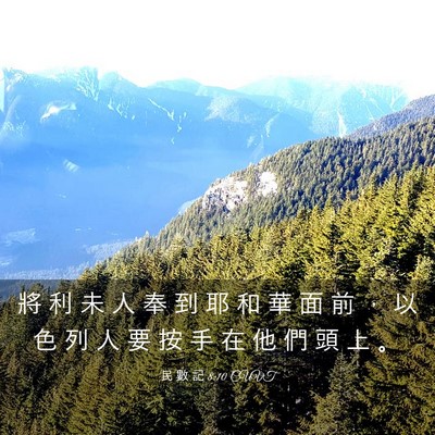 Picture 03 - 民 數 記 8:10 CUVT - 將 利 未 人 奉 到 耶 和 華 面 前 ， - Bible Verse Picture