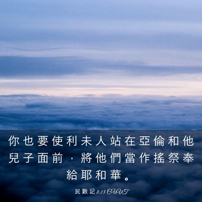 Picture 03 - 民 數 記 8:13 CUVT - 你 也 要 使 利 未 人 站 在 亞 倫 和 - Bible Verse Picture