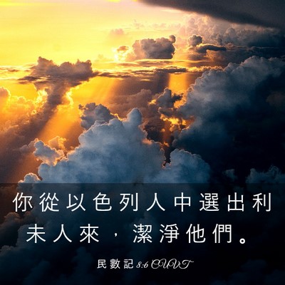 Picture 03 - 民 數 記 8:6 CUVT - 你 從 以 色 列 人 中 選 出 利 未 人 - Bible Verse Picture