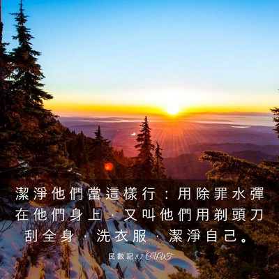Picture 03 - 民 數 記 8:7 CUVT - 潔 淨 他 們 當 這 樣 行 ： 用 除 罪 - Bible Verse Picture