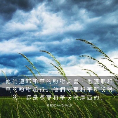 Picture 03 - 民 數 記 9:23 CUVT - 他 們 遵 耶 和 華 的 吩 咐 安 營 ， - Bible Verse Picture